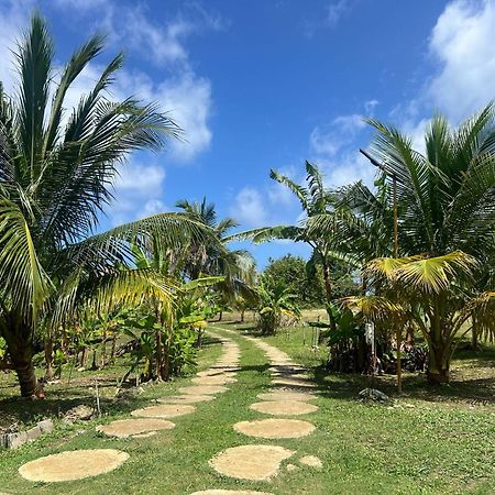 The Sea Cliff Hotel Resort & Spa Port Antonio Buitenkant foto