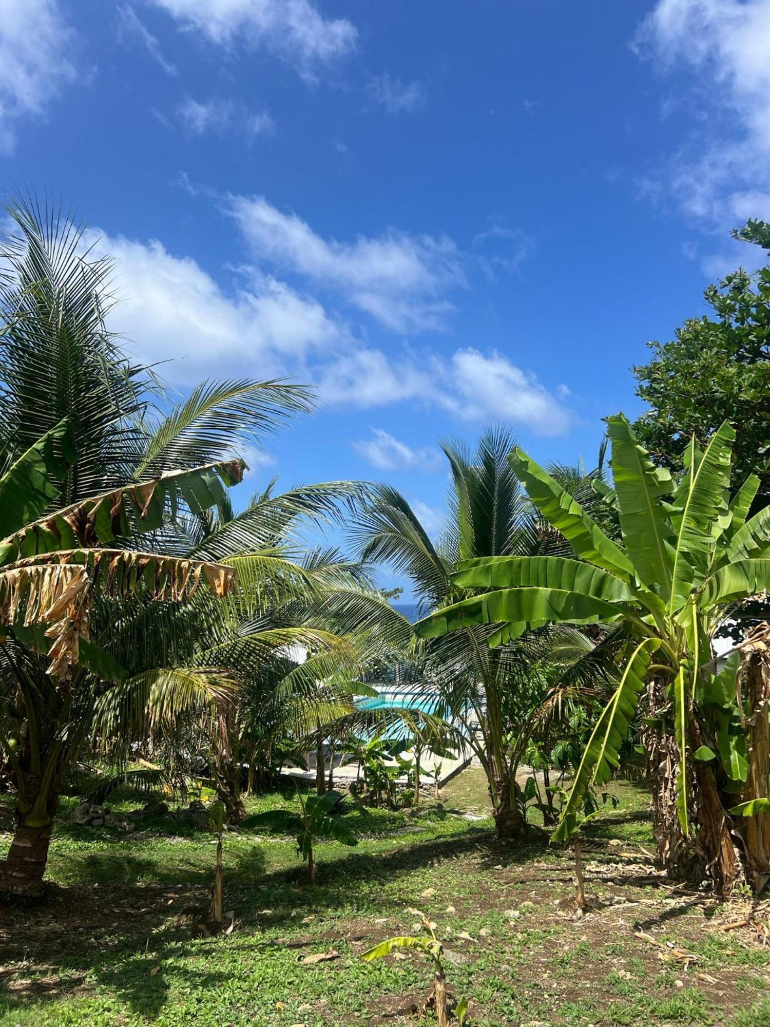 The Sea Cliff Hotel Resort & Spa Port Antonio Buitenkant foto